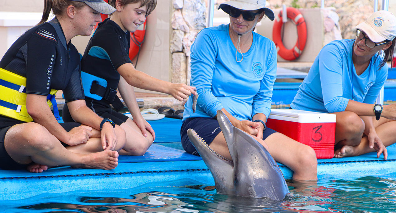 Curacao Dolphin Therapy & Research Center